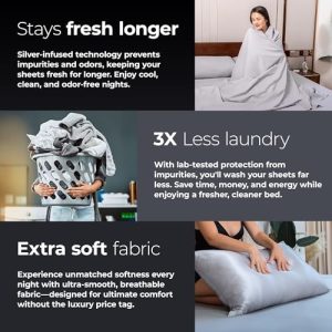 Silvery Silver Infused Bed Sheets Set - Ultra-Soft Temperature-Regulating Fabric with Self-Cleaning Technology™ That Stays Fresh 3X Longer for Hygienic Sleep (Gray, Queen)
